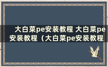 大白菜pe安装教程 大白菜pe安装教程（大白菜pe安装教程 需要格式化c盘吗）